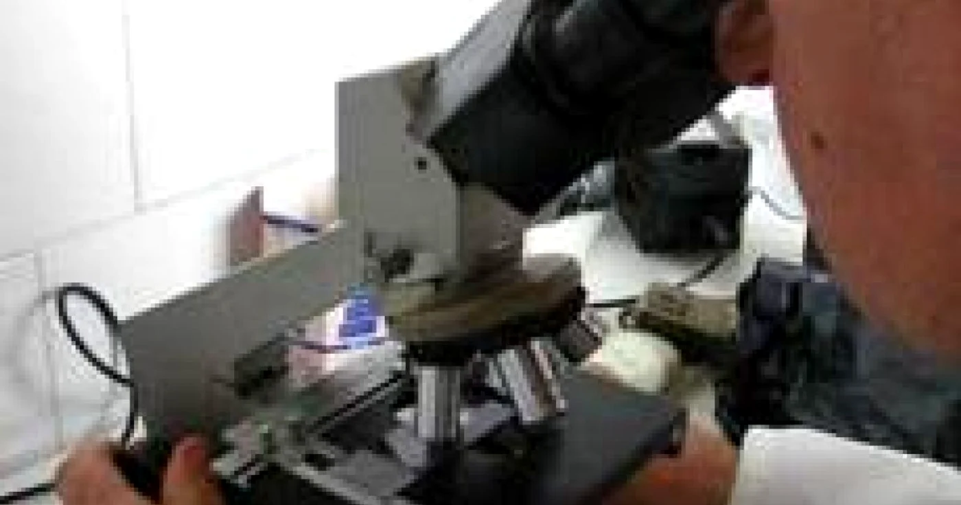 Examenele trichineloscopice se efectuează la Satu Mare sâmbătă şi duminică între orele 8.00-15.00 respectiv 8.00-13.00