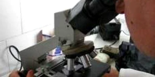 Examenele trichineloscopice se efectuează la Satu Mare sâmbătă şi duminică între orele 8.00-15.00 respectiv 8.00-13.00