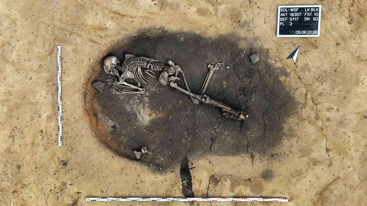 Scheletul descoperit într-o groapă de cuptor lângă Gerstewitz, districtul Burgenland, Saxonia-Anhalt (© Christian Pabst / State Office for Heritage Management and Archaeology Saxony-Anhalt)