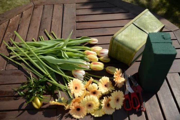 Cele mai potrivite flori pentru decorarea casei de Paşte sunt lalelele