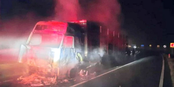 camion lemne foto drdp timisoara