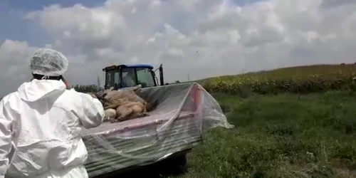 5b5c78cadf52022f75ba9339 jpg