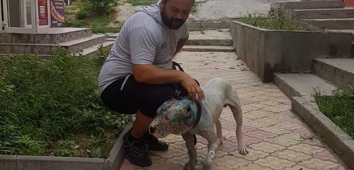 Victor şi câinele Paco, rănit grav în lupte ilegale cu câini FOTO Arhiva personală Victor Maftei