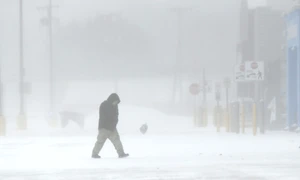 visco profimedia images jpg