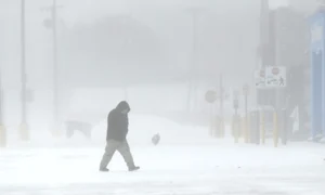 visco profimedia images jpg