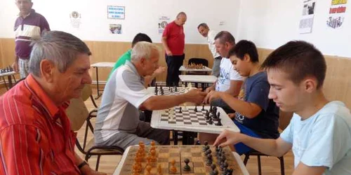 festival sah rosieni