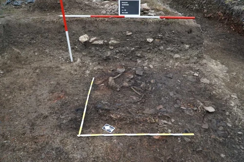 Foto: Facebook / Muzeul Naţional al Carpaţilor Răsăriteni