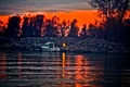 1 50336 original jpg jpeg