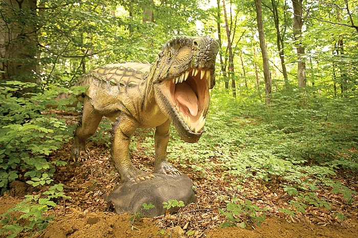 Dino Parc Râșnov