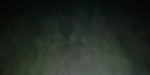 5f973a685163ec42713f39a6 jpg