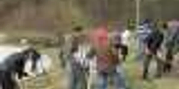 În această primăvară se urmăreşte plantarea a peste 6000 de arbori 