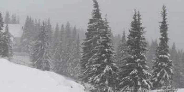 Doar 11 judeţe au scăpat de avertizarea cod galben de ninsori