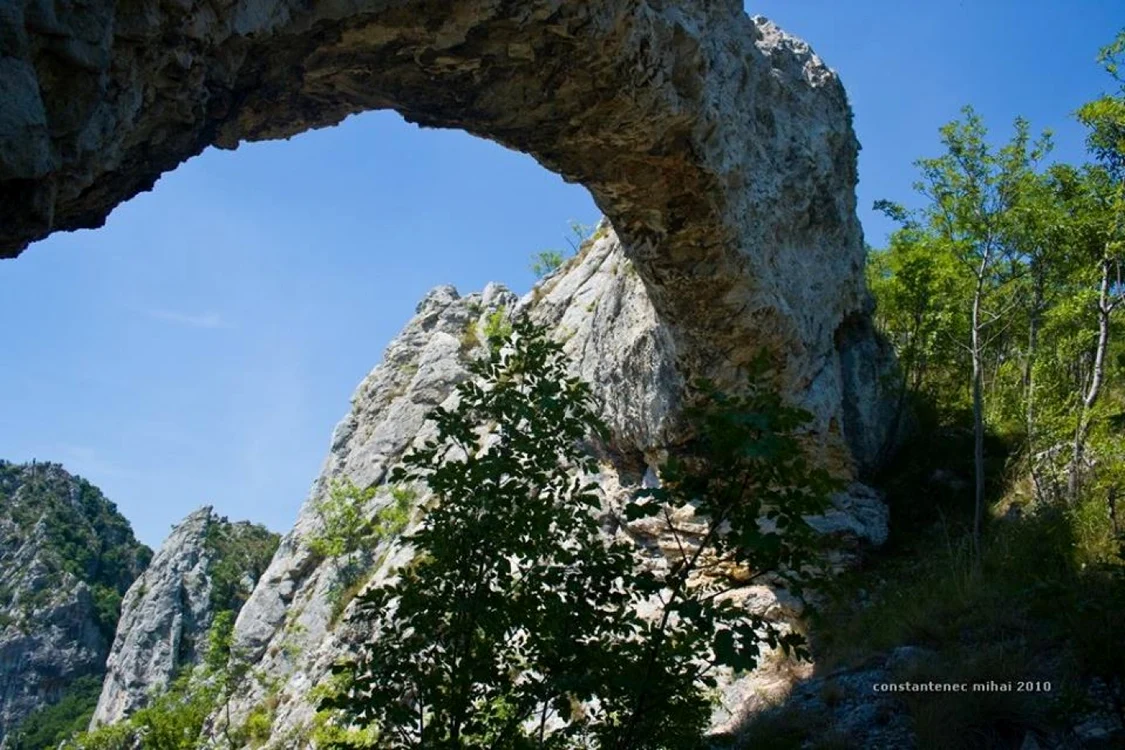 portal chei intregalde alba