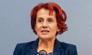 ioana dogioiu viitor purtator de cuvant guvern foto fb png