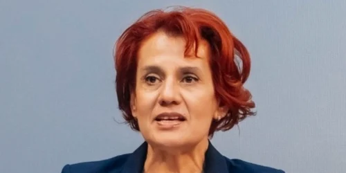 ioana dogioiu viitor purtator de cuvant guvern foto fb png