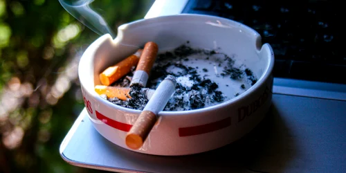 tigari in scrumiera   foto pixabay nobelprime jpg