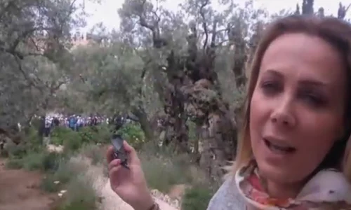 dana savuica israel jpeg