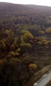 Autostrada Lugoj Deva imagini aeriene la Holdea foto Daniel Guță ADEVĂRUL (32) JPG
