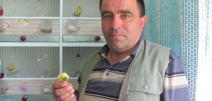Vasile Boboc creşte canarii într-un apartament