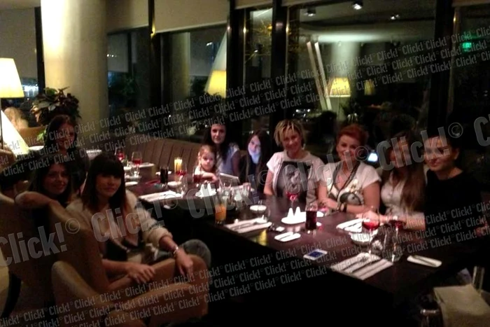 Iubitele steliştilor