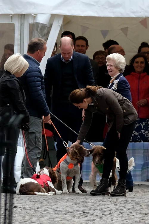 Kate Middleton s-a distrat de minune acceptând provocarea unui fermier de a tunde o oaie 