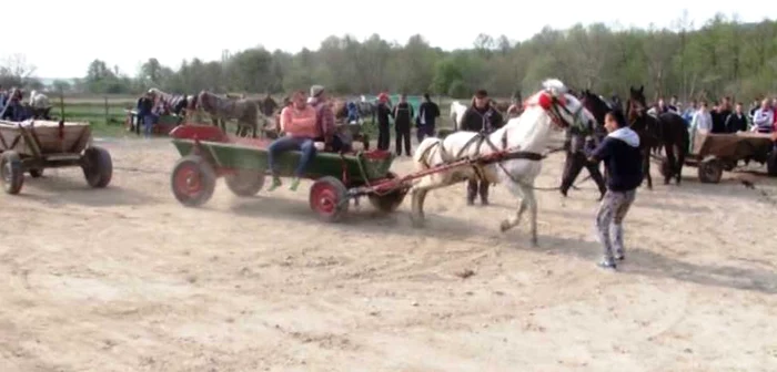 Direcţia Sanitar Veterinară Dâmboviţa spune că astfel de practici sunt ilegale însă nu îi poate trage la răspundere pe proprietari decât dacă îi prinde în fapt FOTO Ionuţ Dima