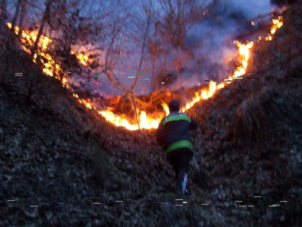 60 de hectare de pădure mistuite de flăcări la Gura Lotrului