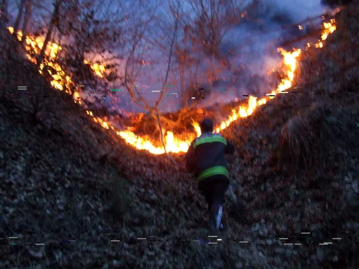 60 de hectare de pădure mistuite de flăcări la Gura Lotrului