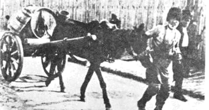 apar sacagiu foto apavital