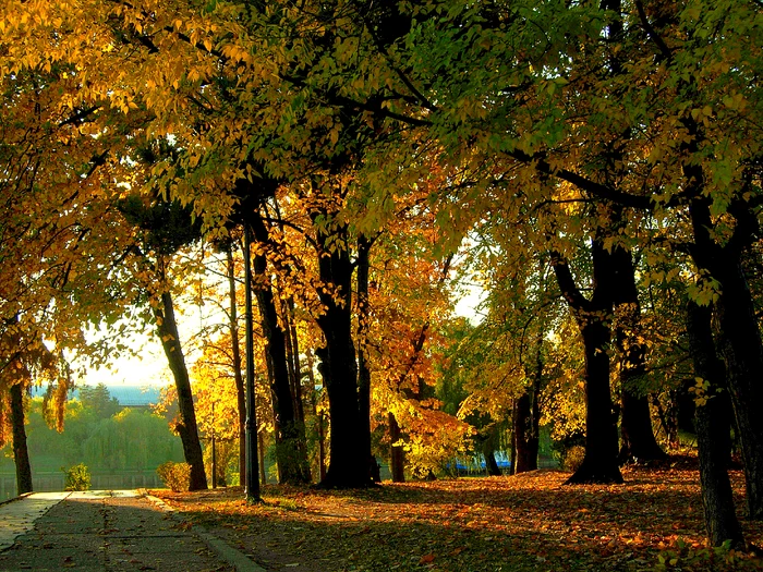 Parcul Herestrău. Foto: Wikipedia