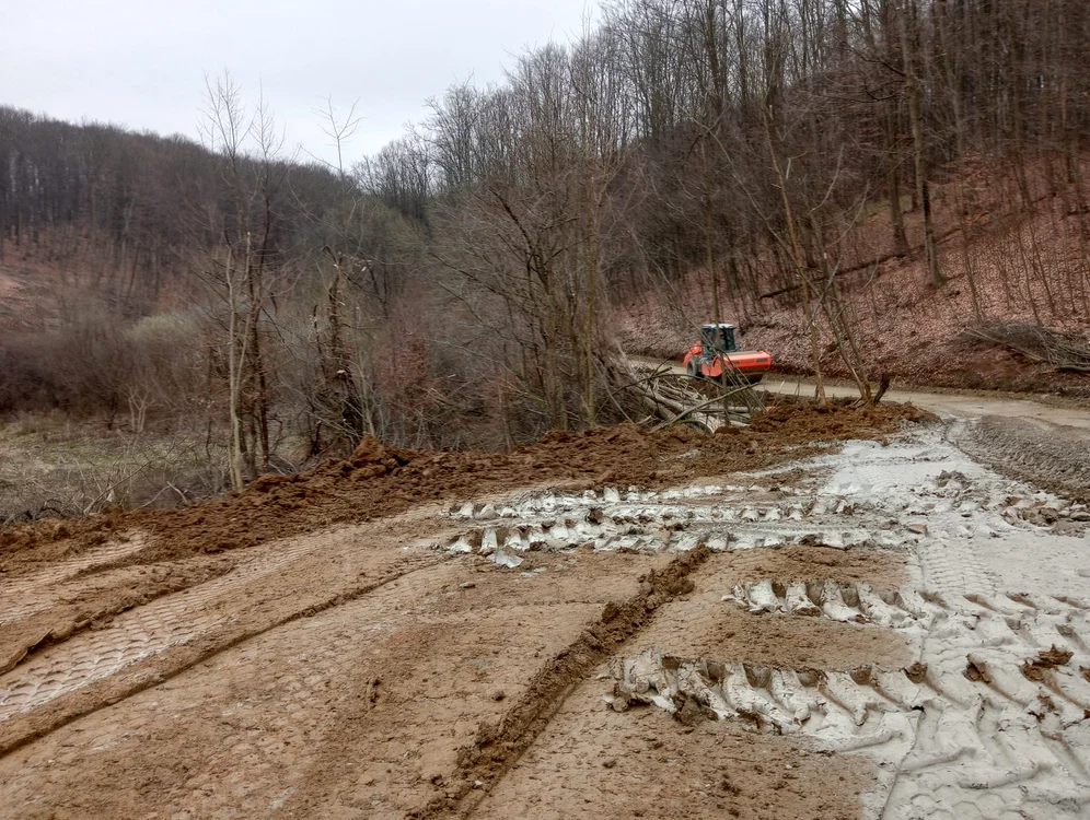 Pregătirea șantierului la tunelurile pentru urși FOTO DRDP Timișoara