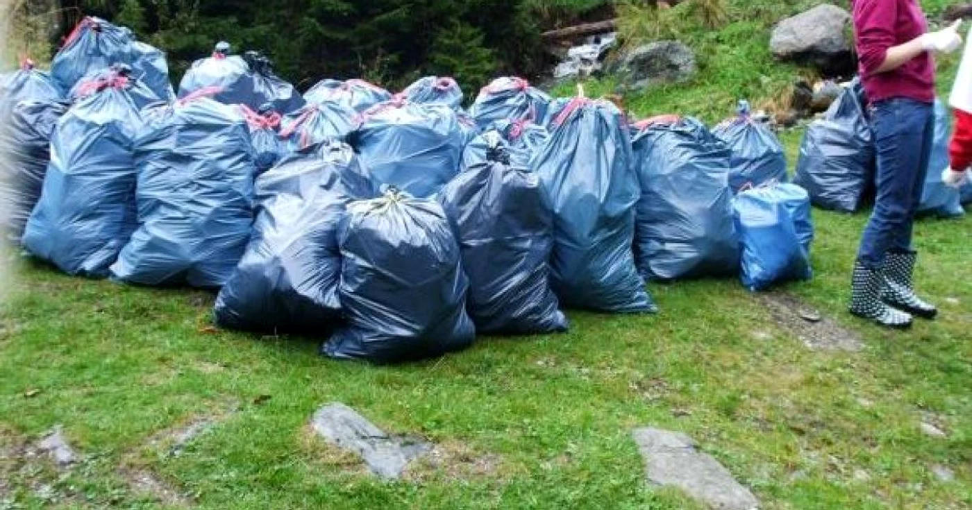 Într-o singură zi, voluntarii au adunat 12.904 saci cu deşeuri