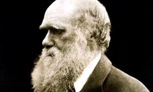 Jurnal de călătorie al lui Darwin, scos la licitaţie la Buenos Aires jpeg