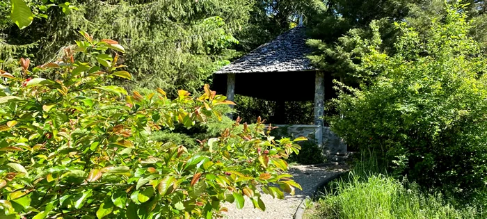 În parc sunt sute de specii de arbori foarte rari FOTO Consiliul Județean Argeș