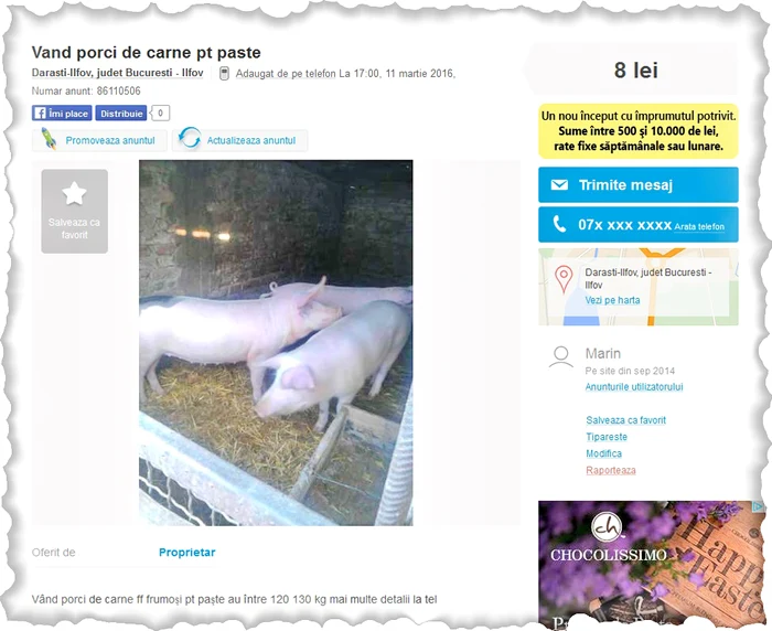 Şi porcii sunt la mare  căutare. Costă 8 lei/kg