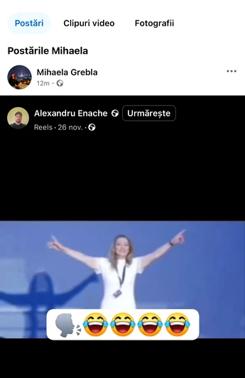 postari mihaela grebla (3) jpg