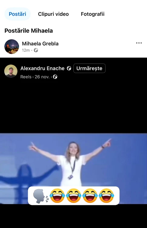 postari mihaela grebla (3) jpg