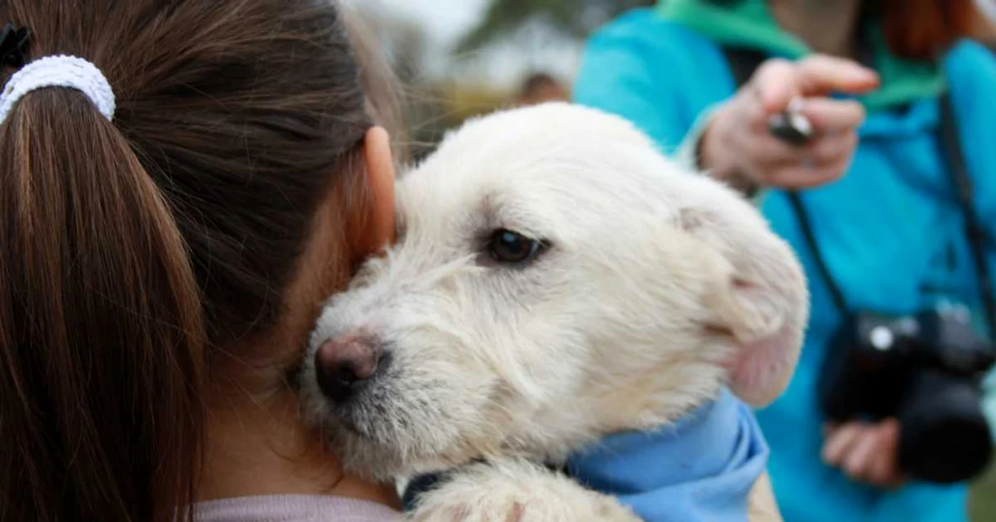 100 de copii au vizitat adăpostul Dogtown în cadrul programelor extracuriculare din perioada 1-7 aprilie FOTO Dogtown
