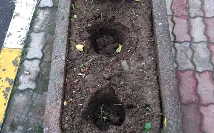 Edilul a anunţat că lucrările de acest tip vor continua atât pe bulevardele principale cât şi în cartiere