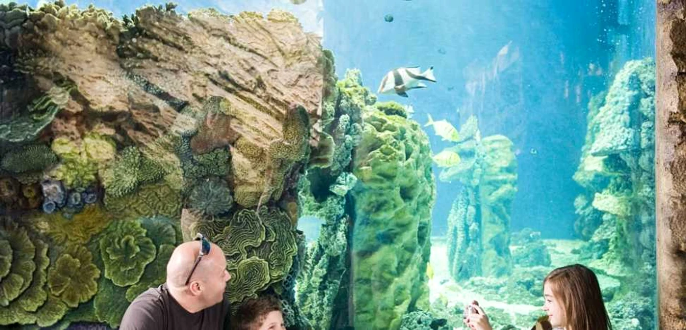 Grădina Zoologică de la NyíregyházaGrădina Zoologică de la Nyíregyháza