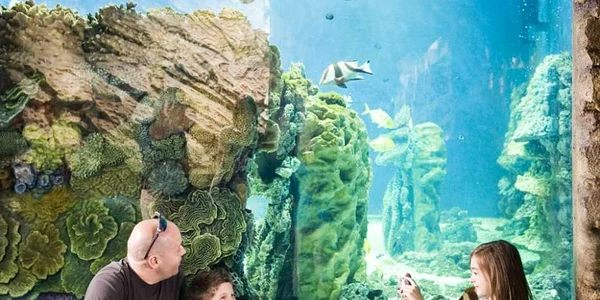 Grădina Zoologică de la Nyíregyháza