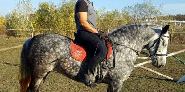 cal rasa