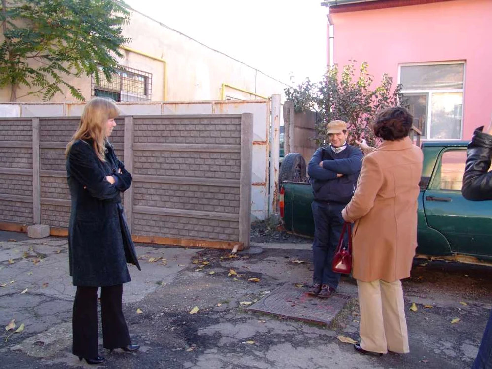 Gardul apărut peste noapte la Timişoara