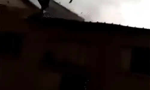 furtuna Braila, Movila Miresii optimize gif