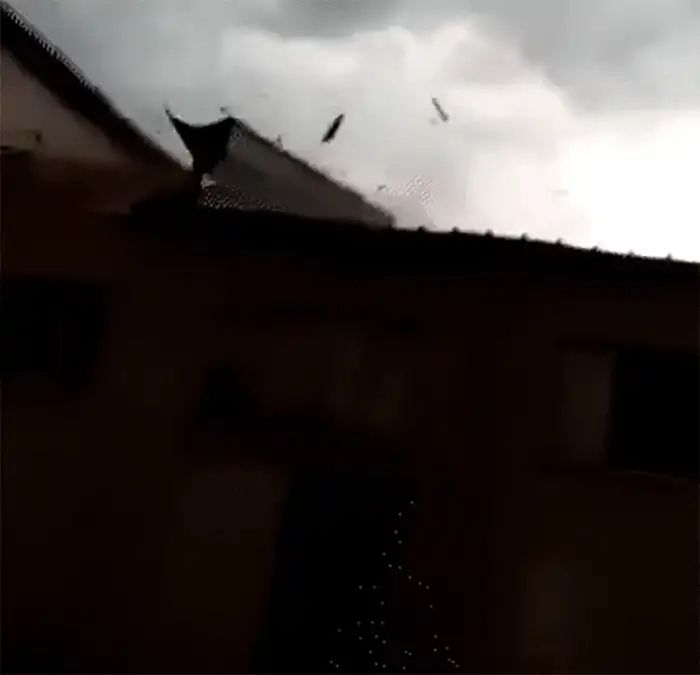 furtuna Braila, Movila Miresii optimize gif