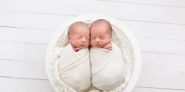 gemeni foto shutterstock