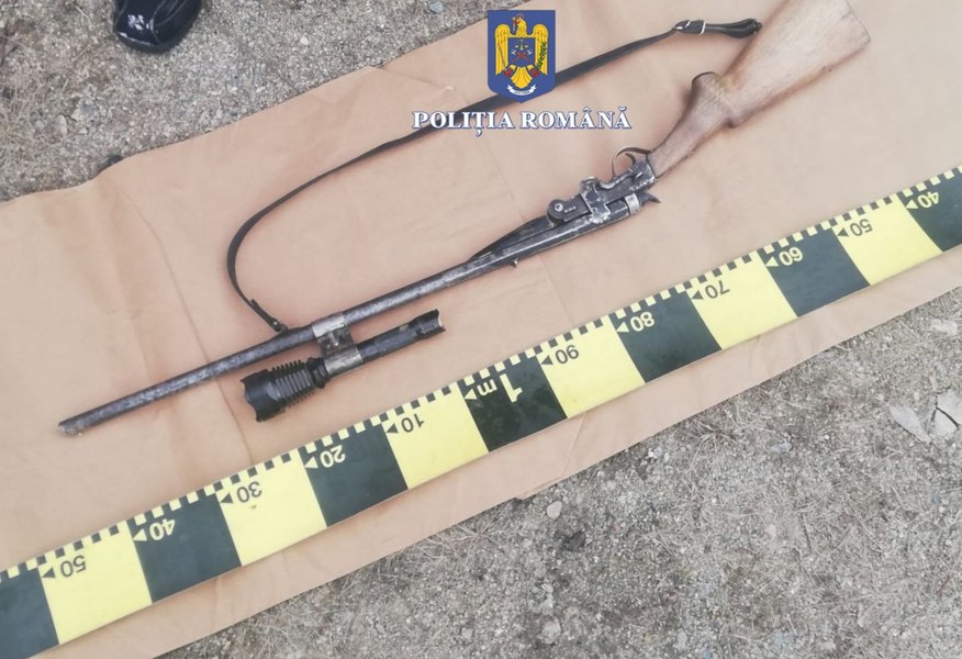Pui de căprioară ucis la lumina farurilor. Pedepse pentru braconierii cu armă artizanală care au încercat să scape de Poliție 