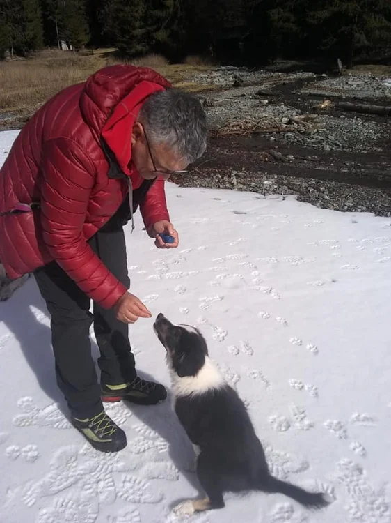 Povestea Locăi, patrupedul care va prelua ştafeta de la tatăl Helios, primul primul câine Salvamont din România