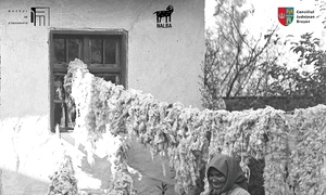 Vernisajul expoziției „Ecologia Lânii – de la universul Mioriței și păstoritul tradițional la utilizări contemporane”