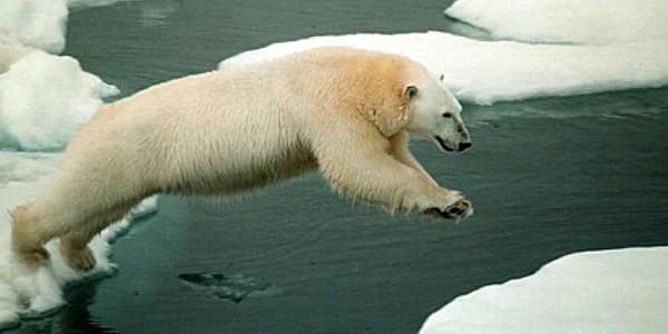 oceanul artic